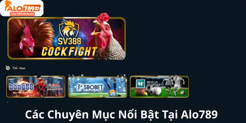 Các Chuyên Mục Nổi Bật Tại Alo789