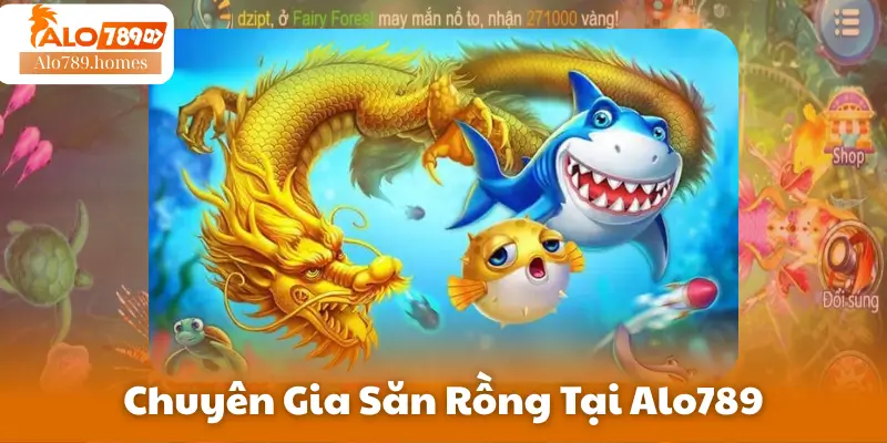 Chuyên Gia Săn Rồng Tại Alo789
