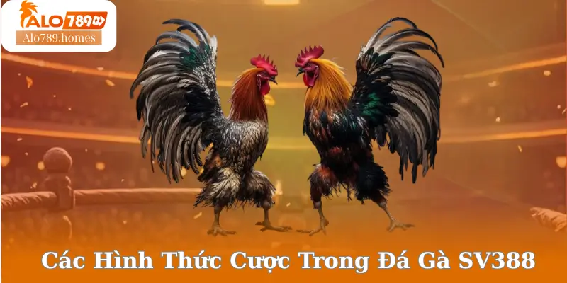Các Hình Thức Cược Trong Đá Gà SV388