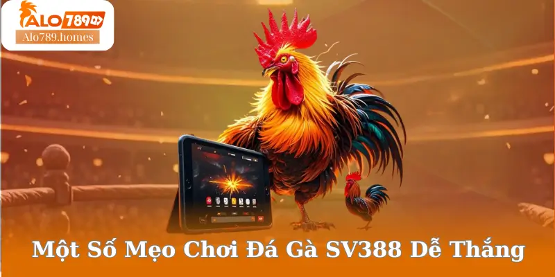 Một Số Mẹo Chơi Đá Gà SV388 Dễ Thắng