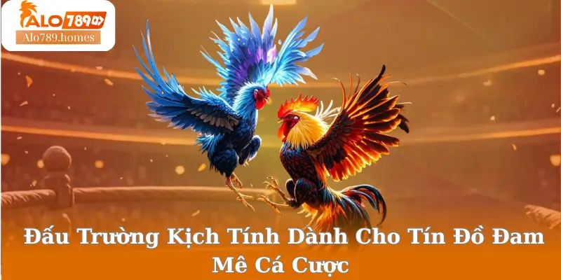 Đấu Trường Kịch Tính Dành Cho Tín Đồ Đam Mê Cá Cược