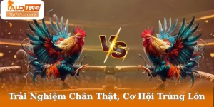 Trải Nghiệm Chân Thật, Cơ Hội Trúng Lớn