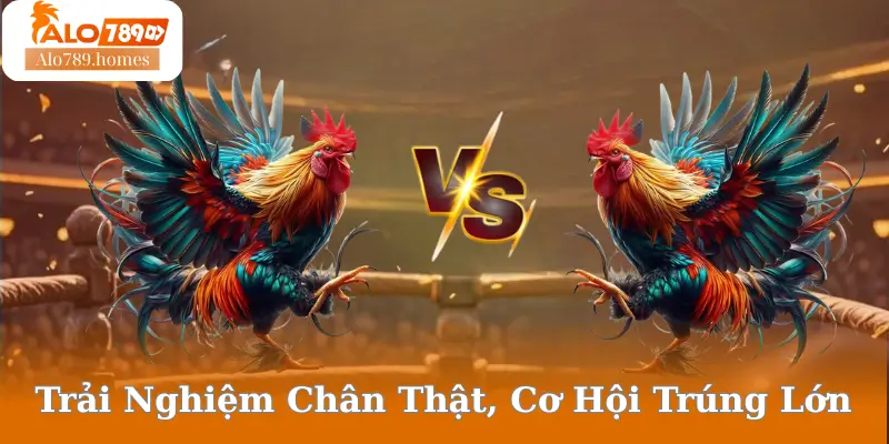 Trải Nghiệm Chân Thật, Cơ Hội Trúng Lớn
