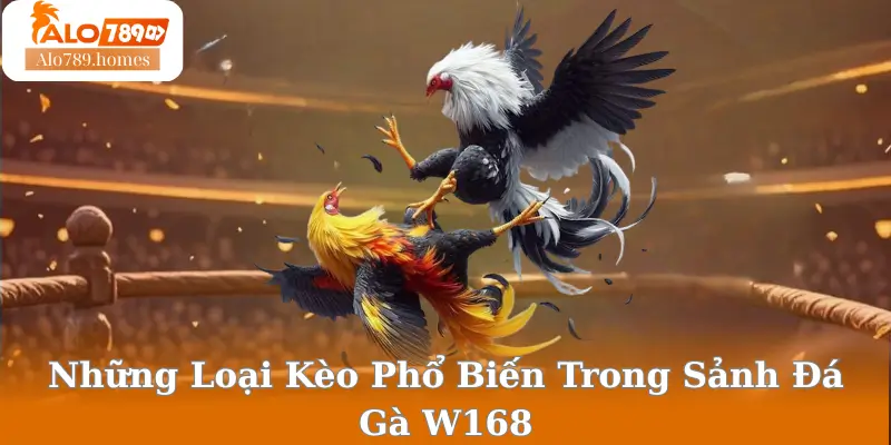 Những Loại Kèo Phổ Biến Trong Sảnh Đá Gà W168