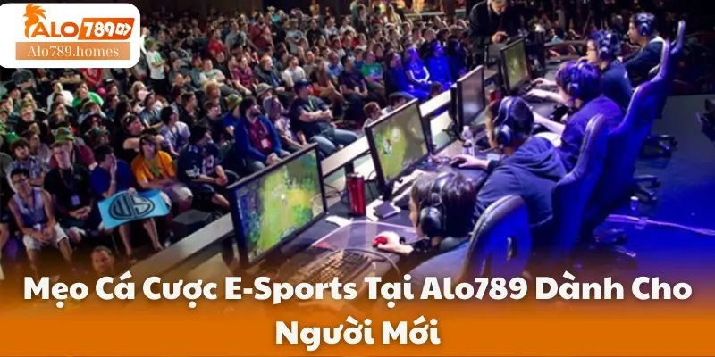 Mẹo Cá Cược E-Sports Tại Alo789 Dành Cho Người Mới