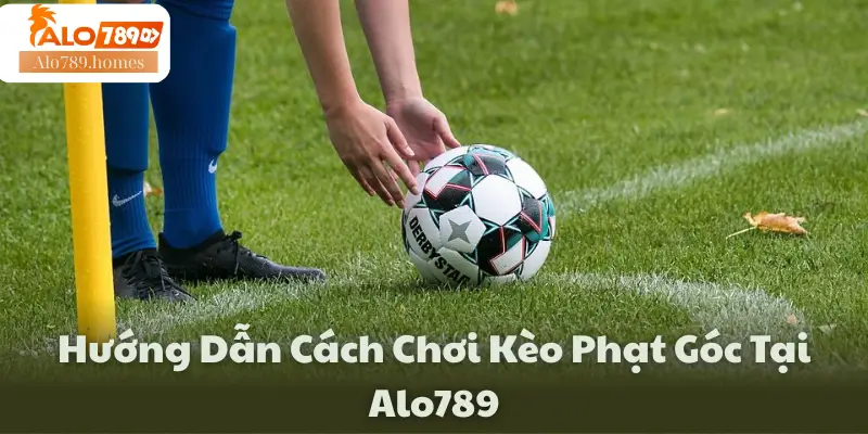 Hướng Dẫn Cách Chơi Kèo Phạt Góc Tại Alo789 
