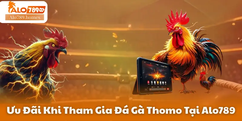 Ưu Đãi Khi Tham Gia Đá Gà Thomo Tại Alo789