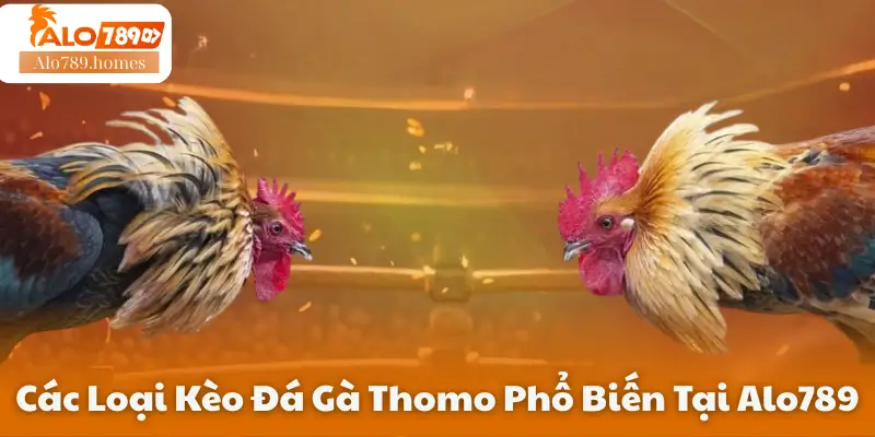 Các Loại Kèo Đá Gà Thomo Phổ Biến Tại Alo789