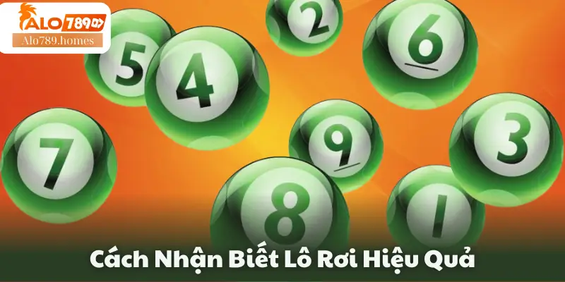 Cách Nhận Biết Lô Rơi Hiệu Quả