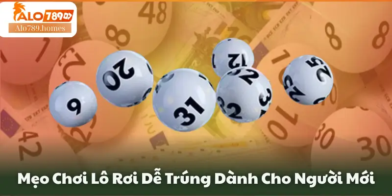 Mẹo Chơi Lô Rơi Dễ Trúng Dành Cho Người Mới