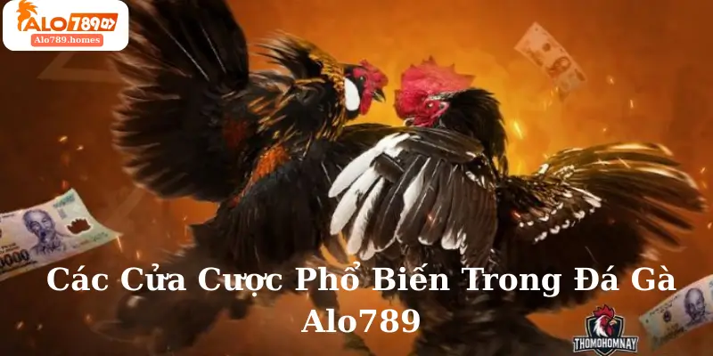 Các Cửa Cược Phổ Biến Trong Đá Gà Alo789
