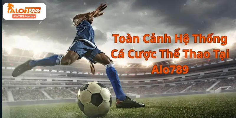 Toàn Cảnh Hệ Thống Cá Cược Thể Thao Tại Alo789