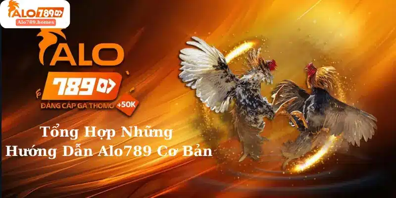 Tổng Hợp Những Hướng Dẫn Alo789 Cơ Bản