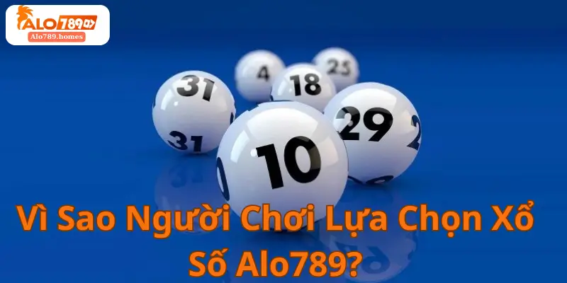 Vì Sao Người Chơi Lựa Chọn Xổ Số Alo789
