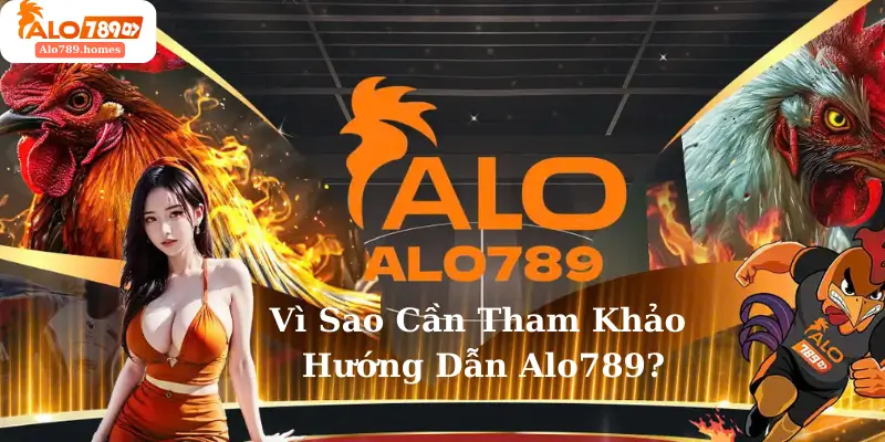 Vì sao cần tham khảo hướng dẫn Alo789
