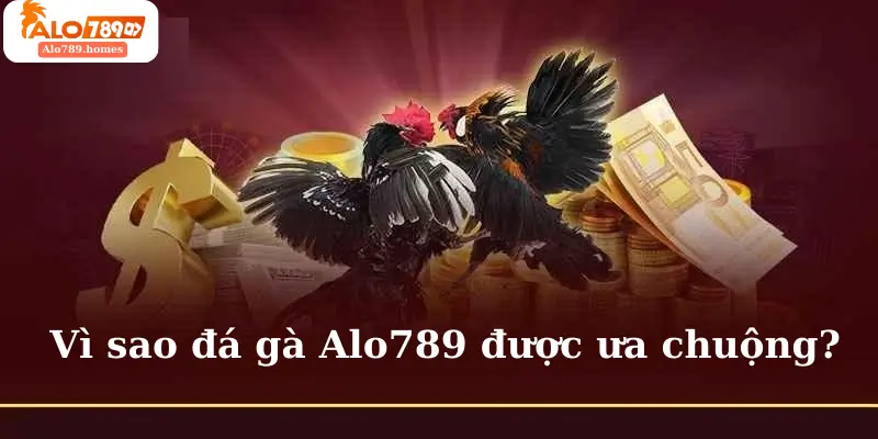 Vì sao đá gà Alo789 được ưa chuộng